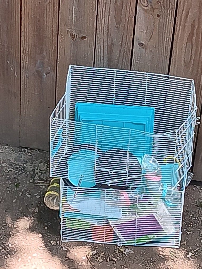 Hamster 🐹 Cage