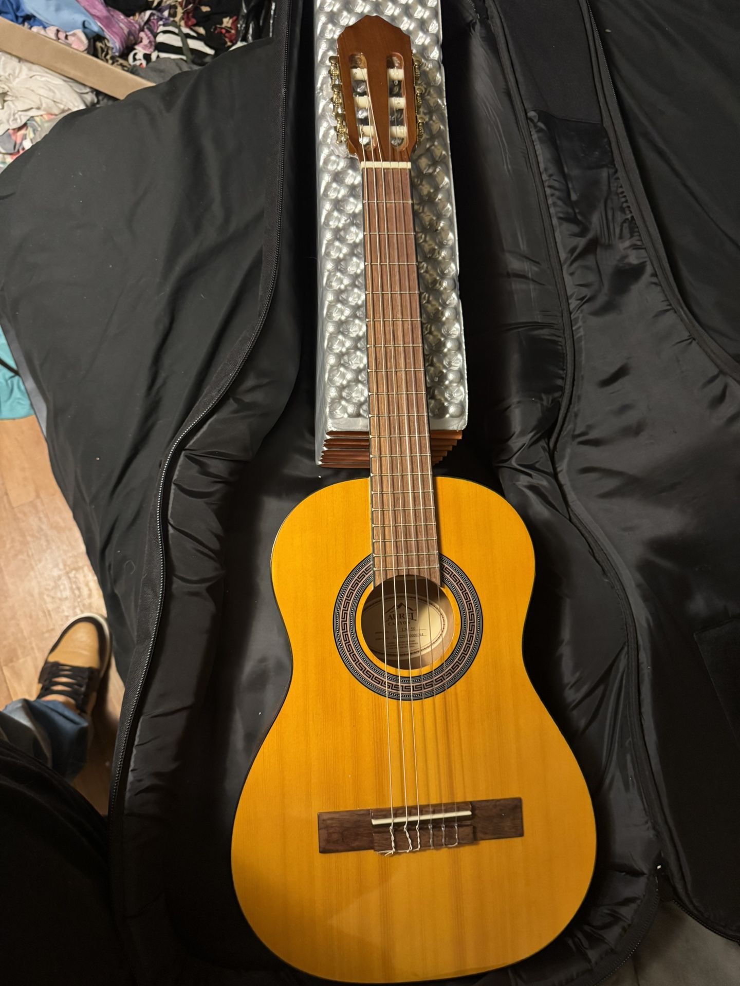 Guitar And Case