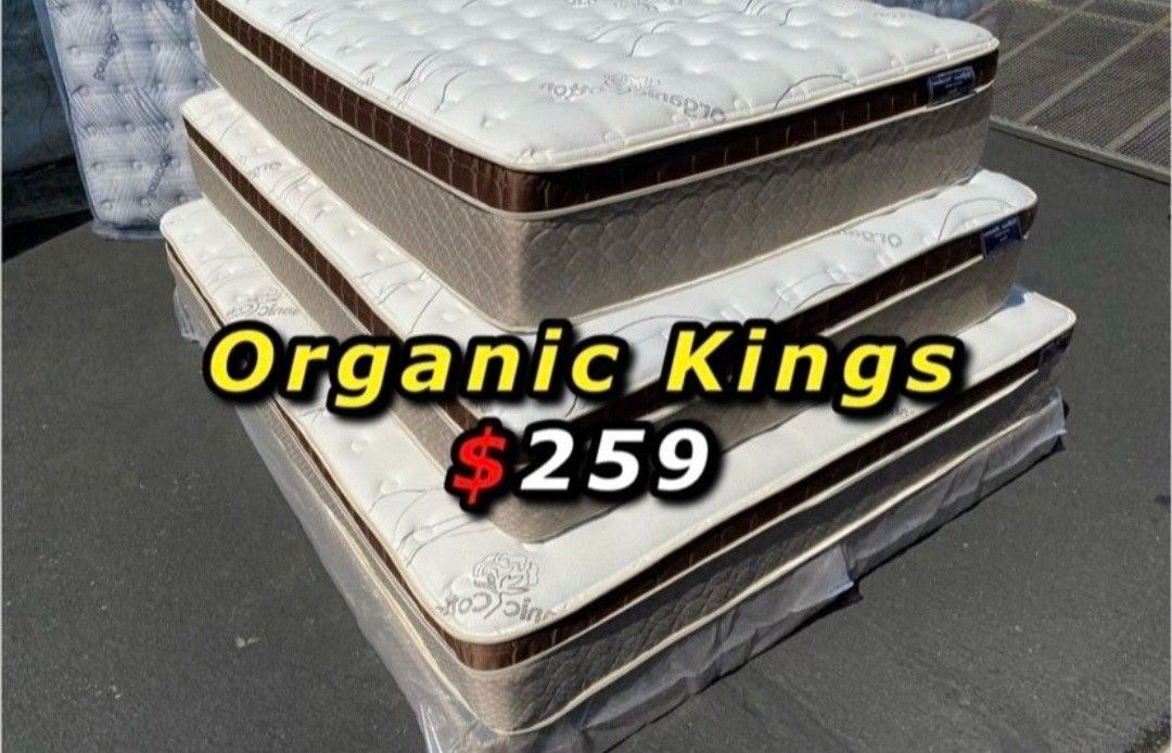 King Organic Cloud Comfort Europillowtop 12in