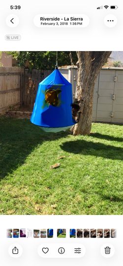 Swing for kids
