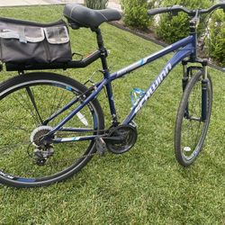 Schwinn Bicycle 