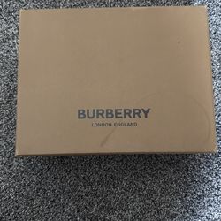 Burberry Bag Used