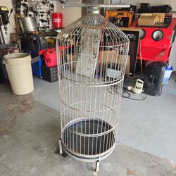 Bird Cage 