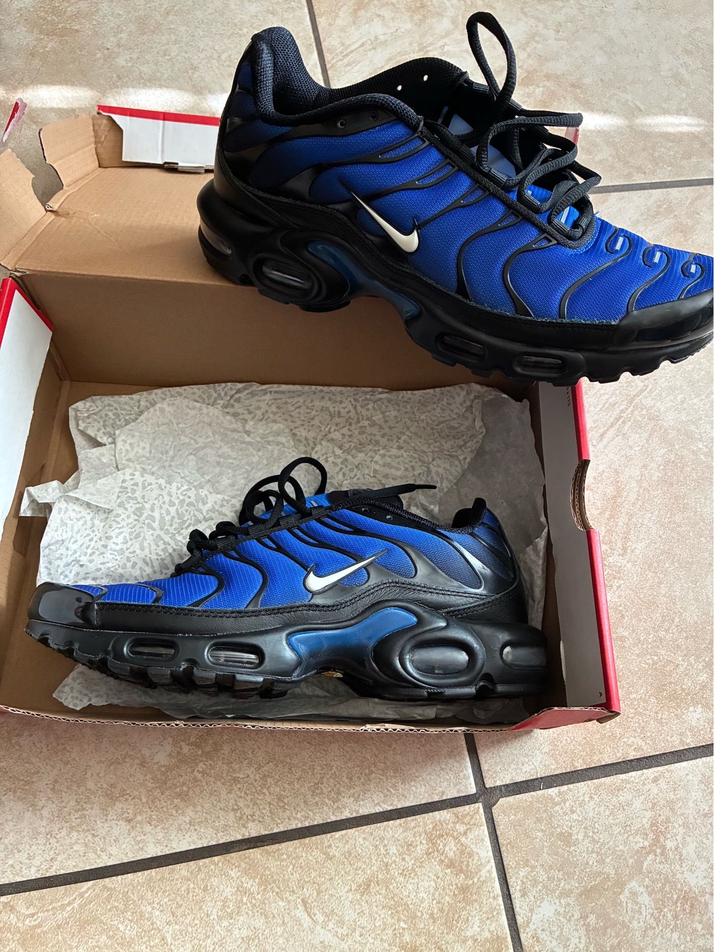 Mens nike air max plus shoes