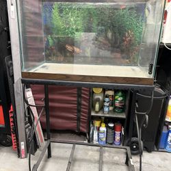20gal Tank, No Leak 
