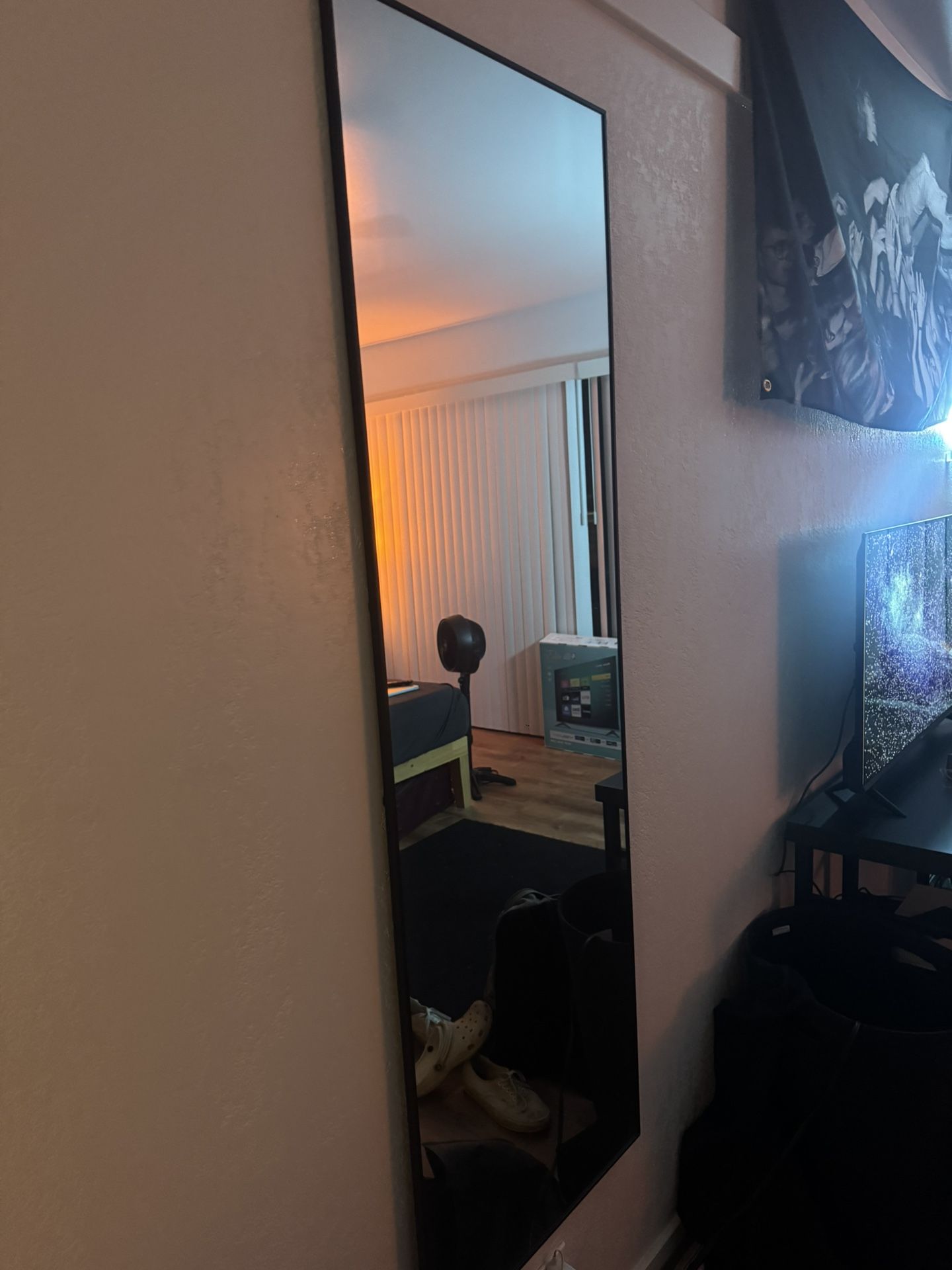 Mirror 64”x21