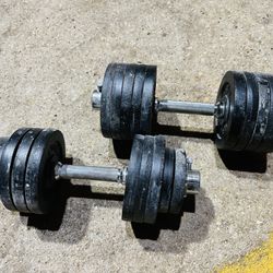 Adjustable Dumbbell Set with Weight Plates | 100 Lbs max weight