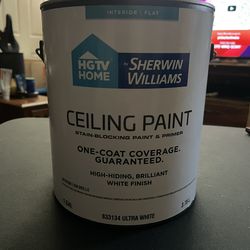CEILING PAINT