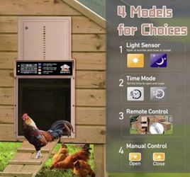 chicken coop door