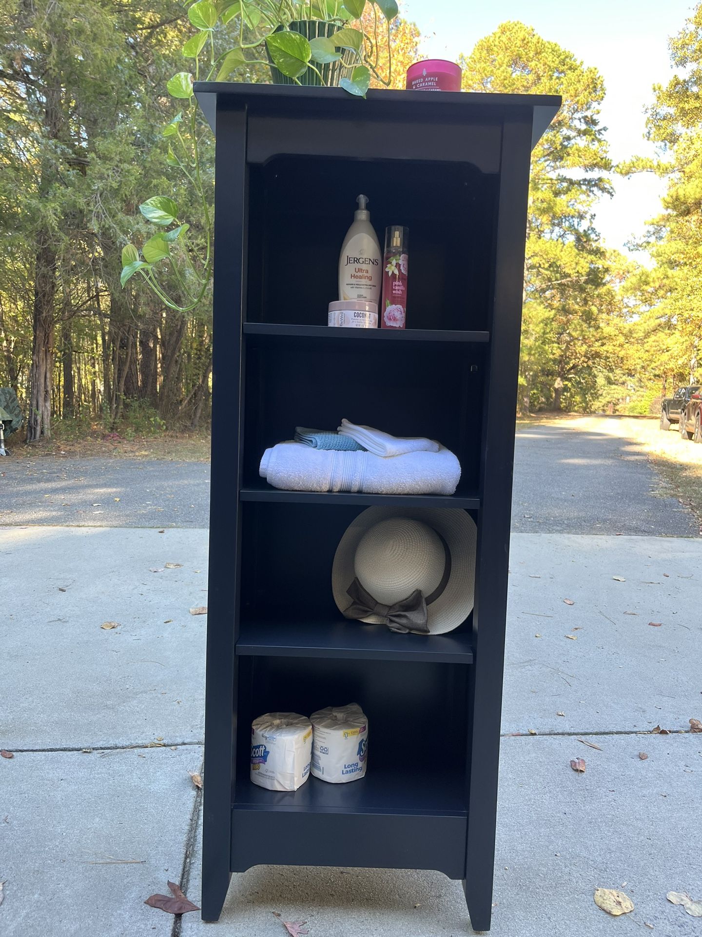 Charming Accent Cabinet with Shelves