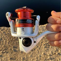 Abu Garcia Fishing Reel