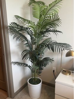 6.5-7 ft Artificial Palm Tree with White Modern Planter – Like New