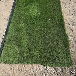Fake Grass Rug 42 Inches Wide By 77 Inches Long