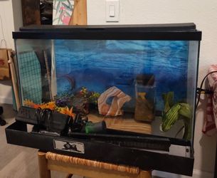 30-40 Liter Fish Tank