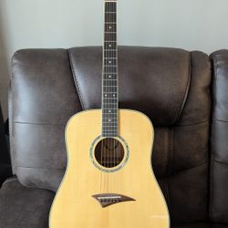Dean Acoustic Guitar Tradition One GN + Case