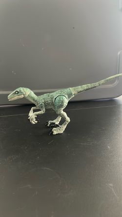 Amber collection velociraptor Charlie