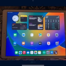 iPad Pro Gen 1 (128GB)