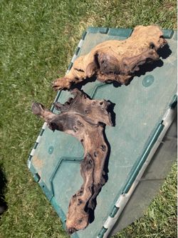 Aquarium drift wood