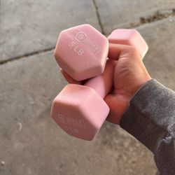 5LB Dumbbells