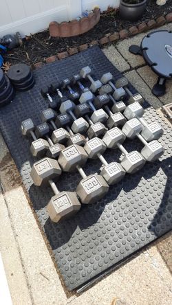 Hex Dumbbells (Prices In Description) 