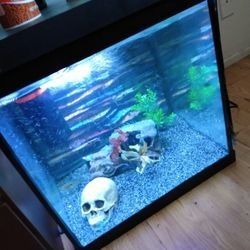 27 Gallon And A  20 Gallon 