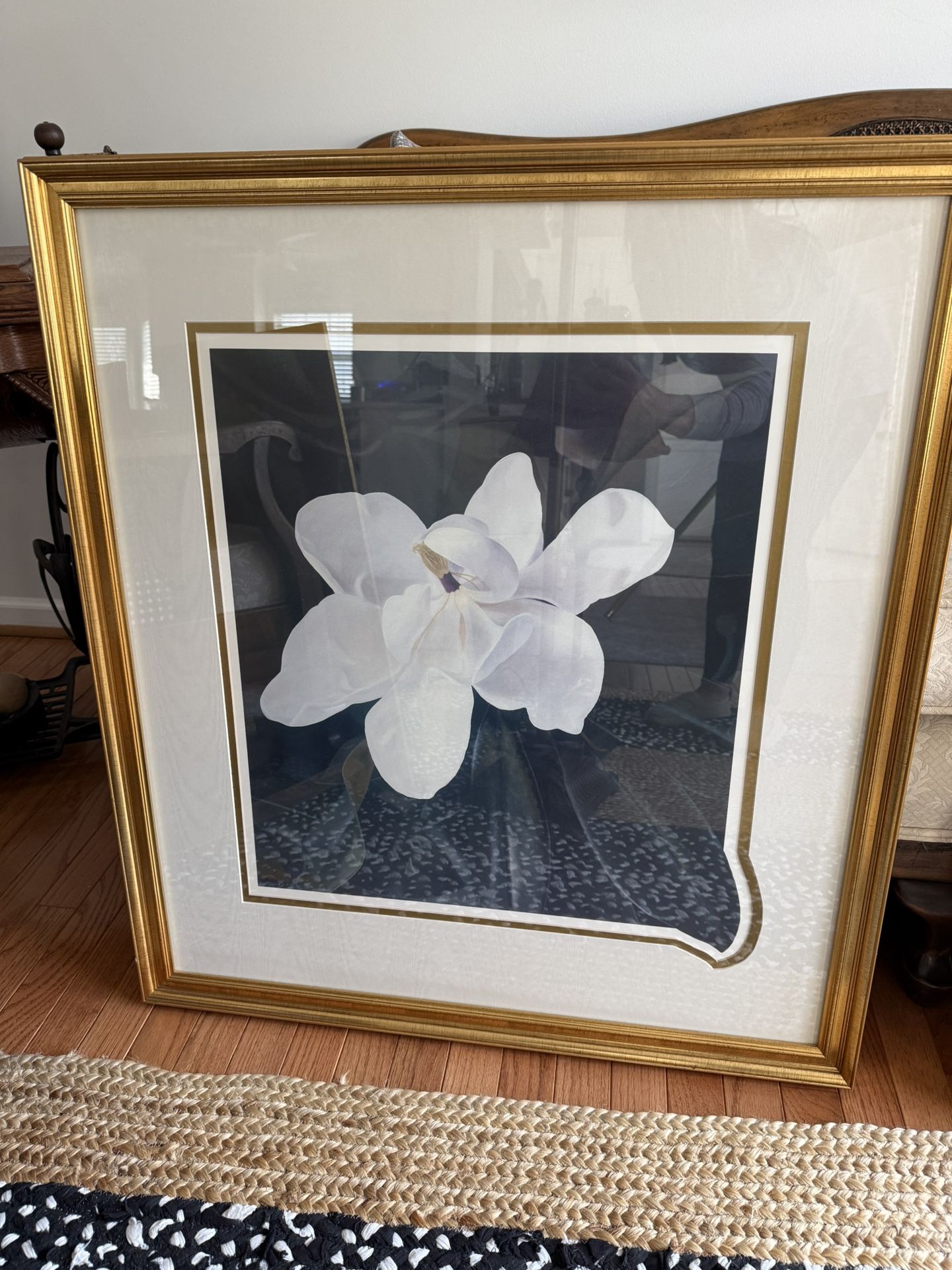 Magnolia Picture