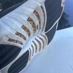 Jordan 12 reverse taxi