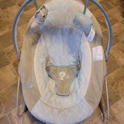 Baby Bouncer