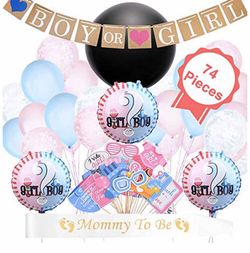 74 pc Gender Reveal Party Supplies