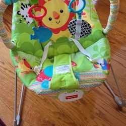 Fisher Price Baby Bouncer 