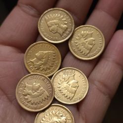 6 indian head penny 