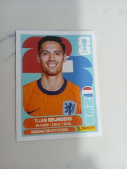 Panini