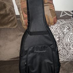 electric and acoustic guitar case.