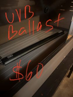 Bearded Dragon UVB bulb Ballast