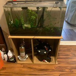 2 Fish Tanks Complete Setup’s 
