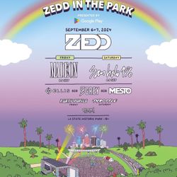 Zedd In The Park