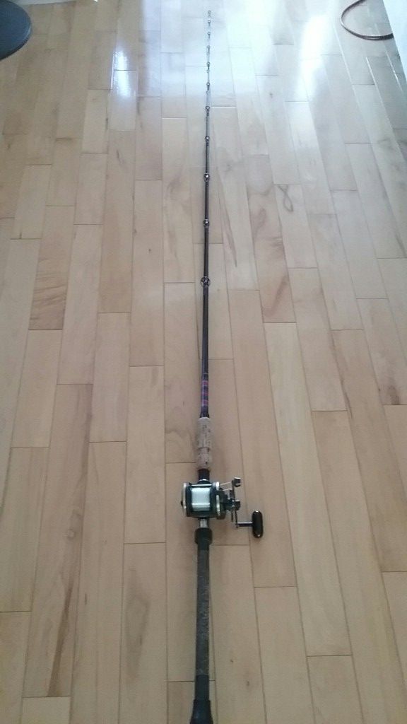 Custom 8ft Graftec 80xl Saltwater Fishing Rod w. Daiwa Sealine SL20SH reel, used