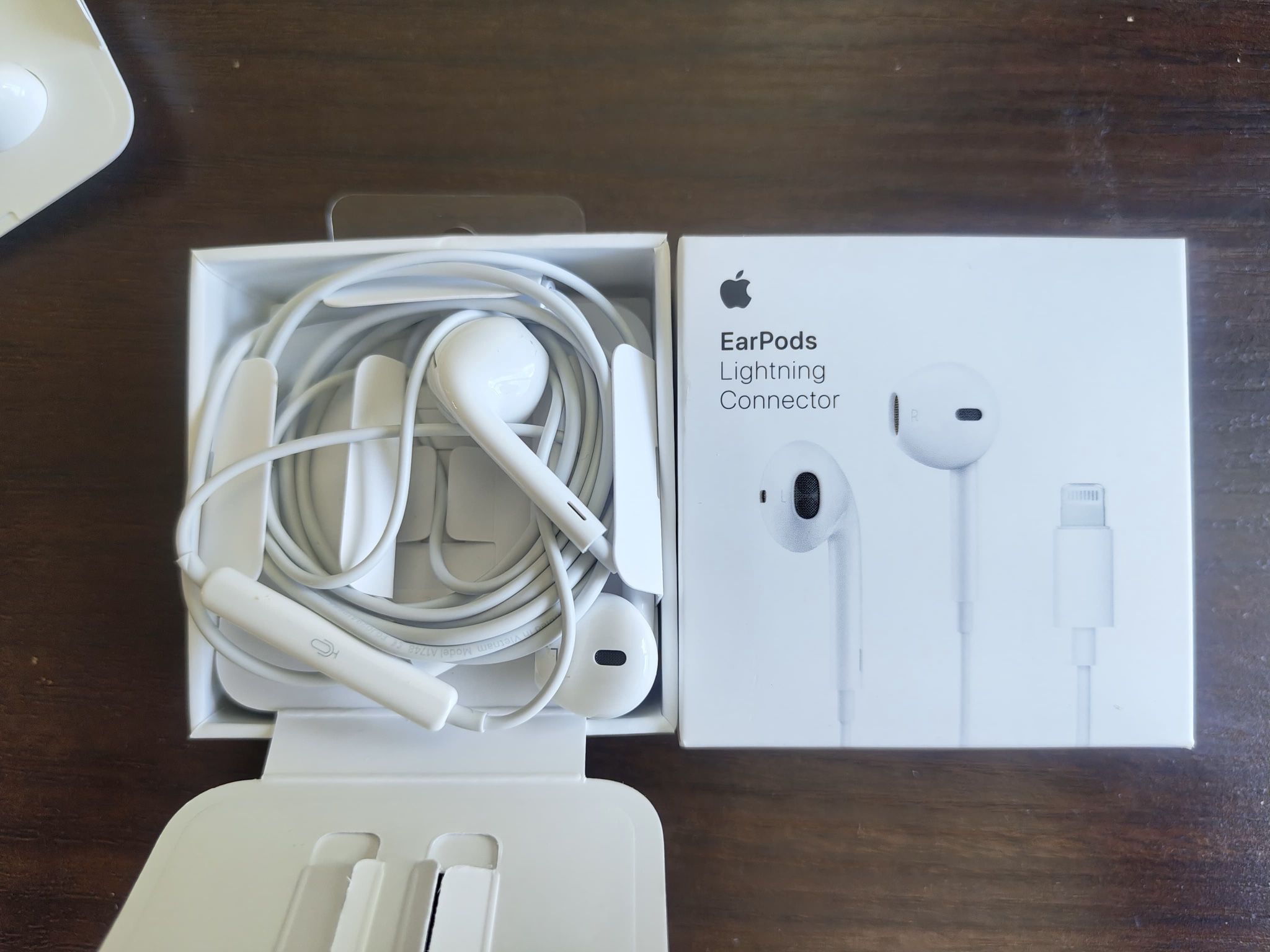 Apple earphones (wired)