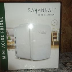 Mini AC/DC Fridge 