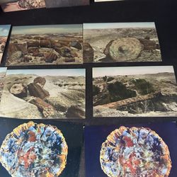 Vintage Postcard Lot 15 National Parks Petrified Forest Zion Bryce Canyon #2