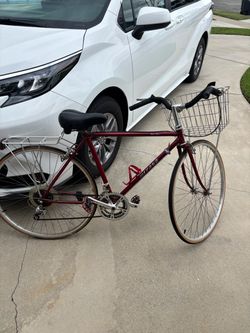 Bike - size medium (adult unisex)