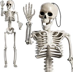 24" Skeleton Movable Joints For Halloween Decorations