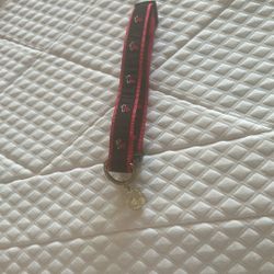 Miami Heat Dog Collar