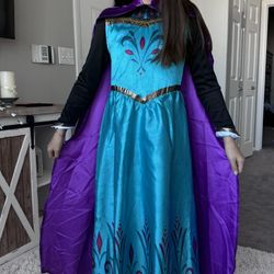 elsa and Anna costume 