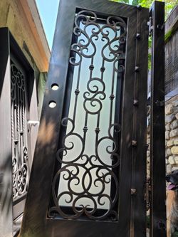 Puerta Frontal