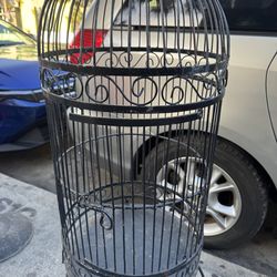 Parrot cage bird