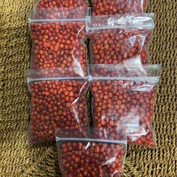 Chile Chiltepin