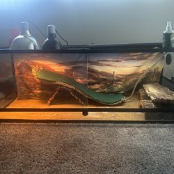 120 Gallon Tank