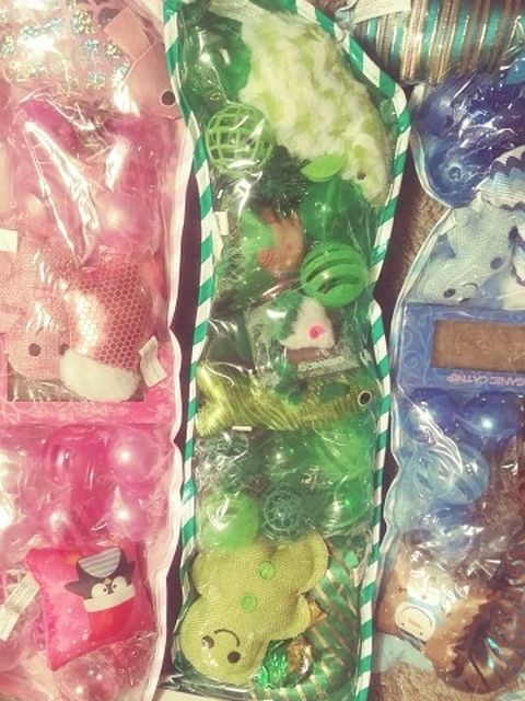 3 Stockings full Of Fun For Cats And Extra Toys