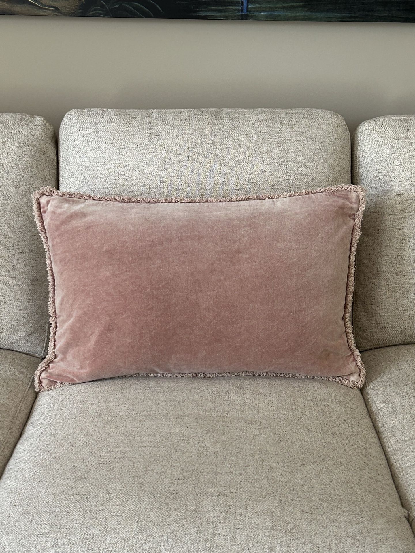 Indoor Pillow/Insert (Pottery Barn)